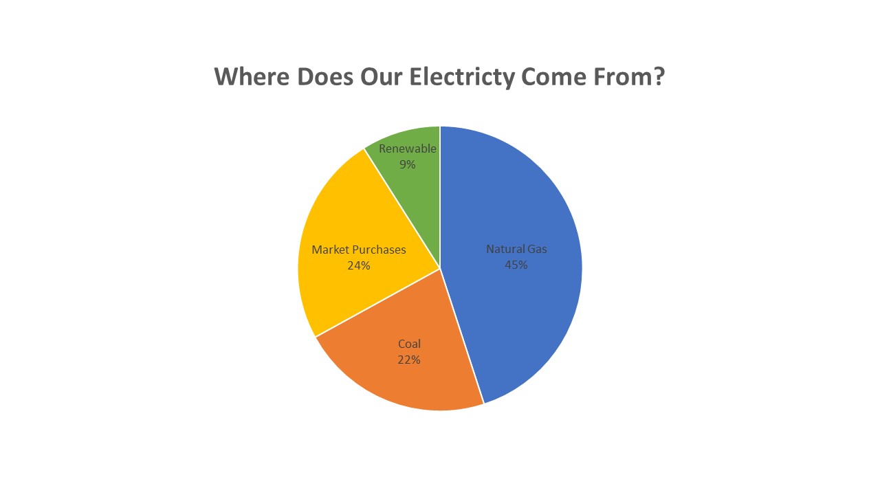 STEC Electricity Resources Chart