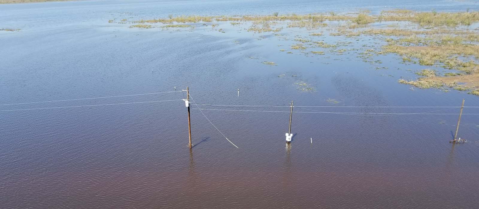 Poles in flooded field