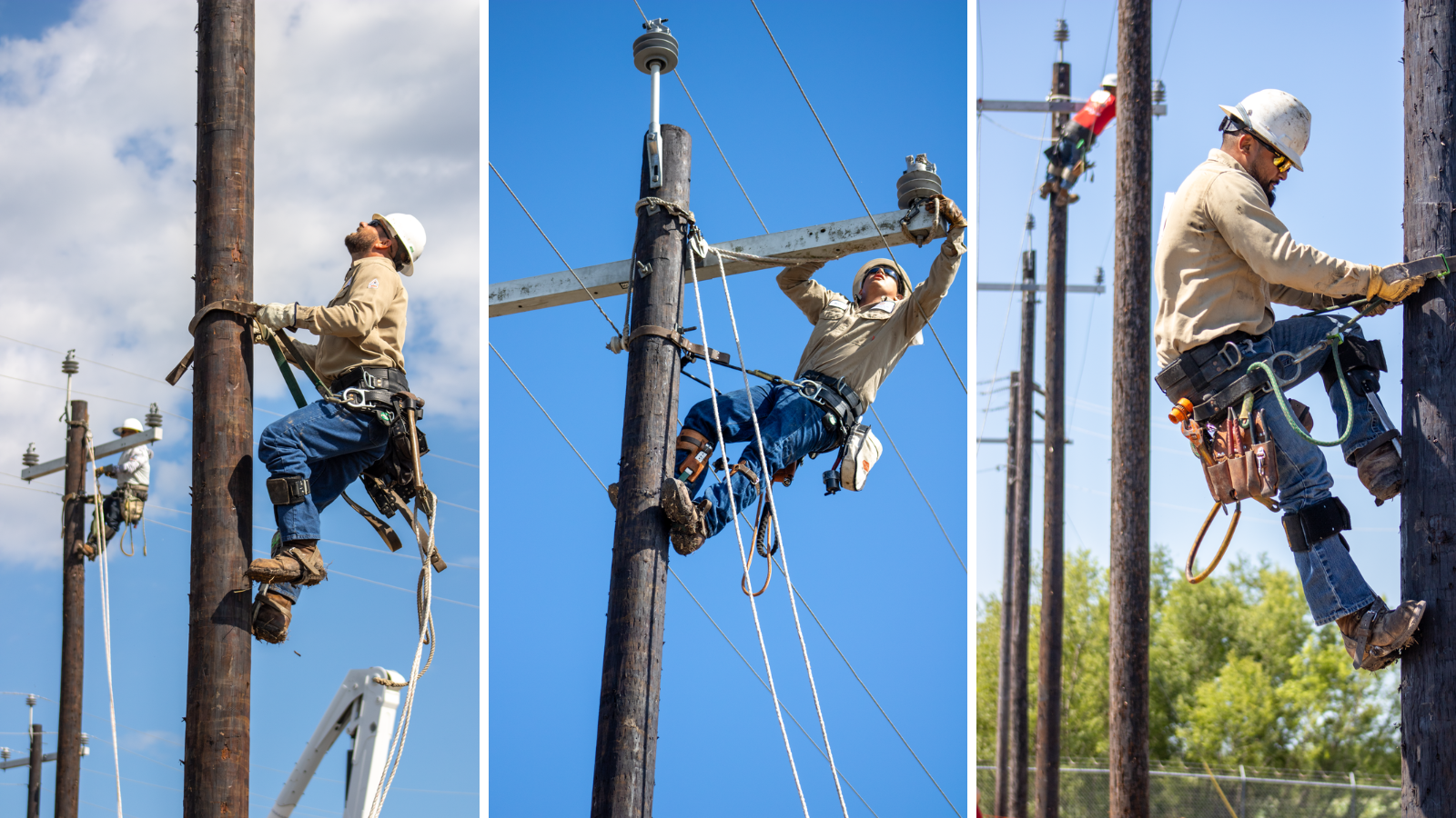 SPEC Lineman at Rodeo