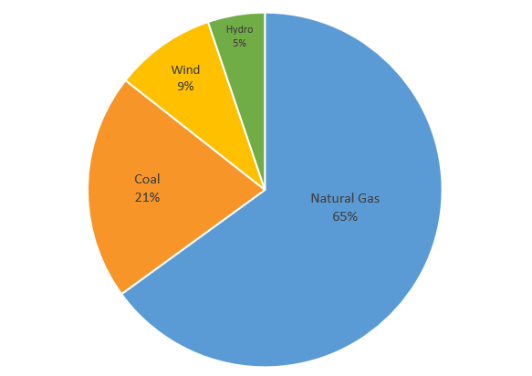 Electricity Sources | San Patricio Electric Cooperative