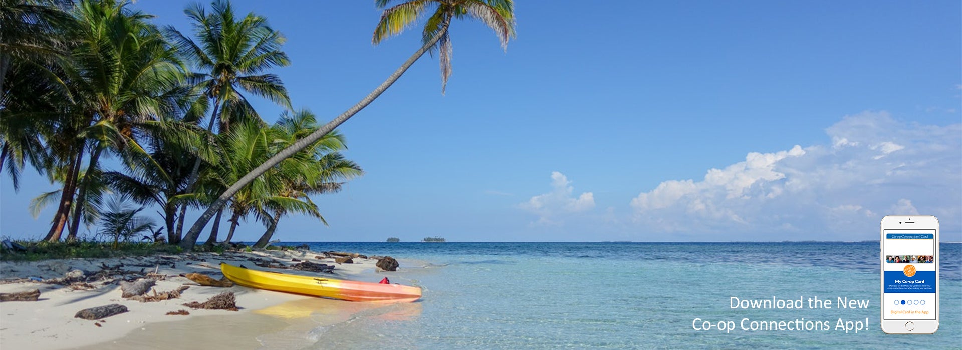 Save on travel with Co-op Connections Kayak on a tropical beach