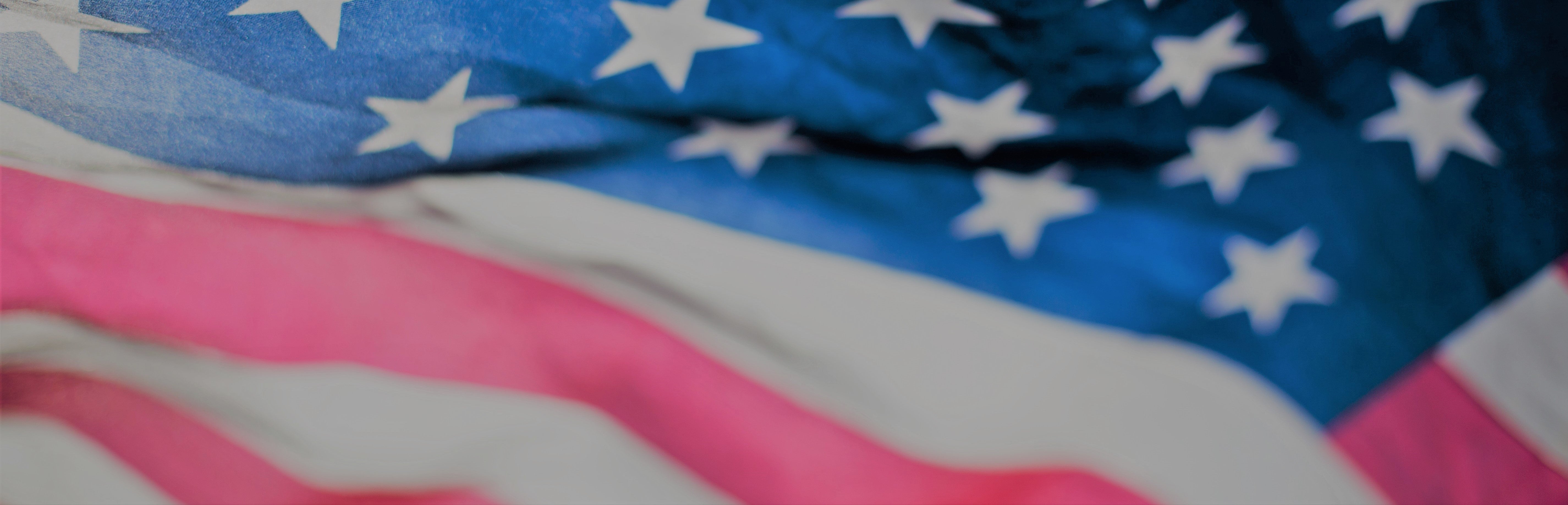 Vote Now in SPEC's 2021 Board of Directors Election American Flag