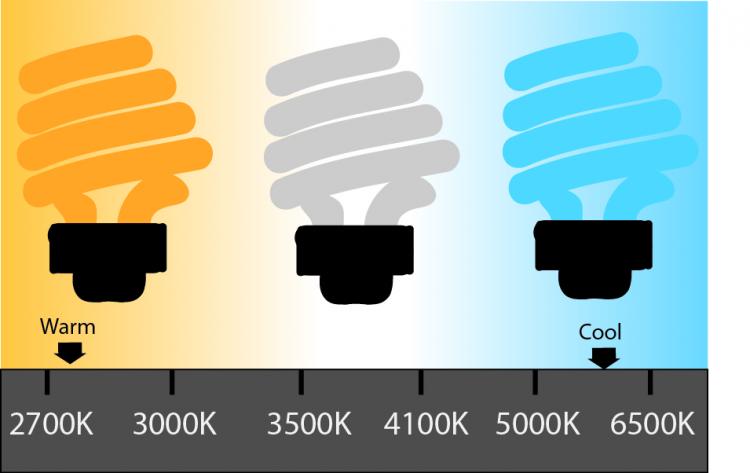 Kelvin Scale